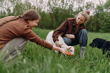 Middle age woman feeding goat outdoors in green field, promoting active healthy lifestyle, wellbeing, and connection with nature in community wellness setting.