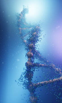 DNA structure seen from the side