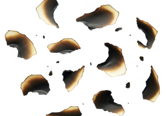 Burnt paper edges and fragments create a textured pattern, isolated on transparent background