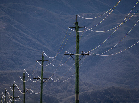 Telegraph poles