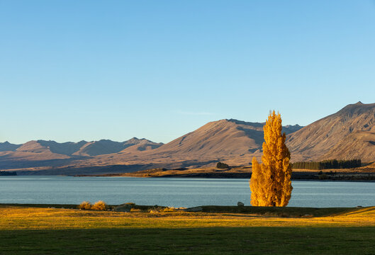 Autumn on Lake Tekapo in New Zealand