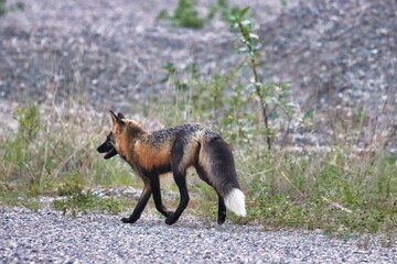 Yukon Territories, Canada