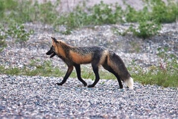 Yukon Territories, Canada