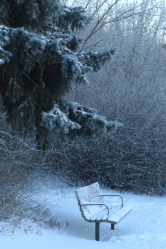 Winter in the park Saskatoon
