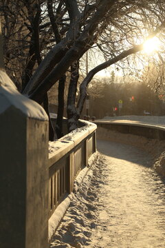 Morning Sunrise in Saskatoon