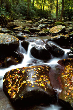 Autumn leaves on rocks Pigeon River western Tennessee film