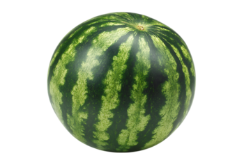 Fresh, ripe watermelon ready to eat. Summer fruit.