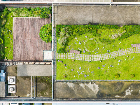 Beautiful Rooftop Garden with Lush Greenery and Pathways