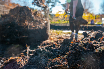 turning a compost pile in a community garden. compost full of microorganisms. sustainable regenerative agriculture with a soil sample