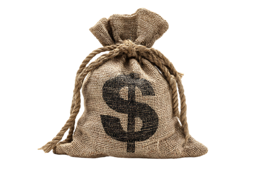 Money bag, burlap sack with dollar sign