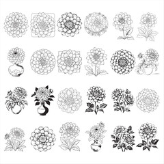 Adobe Illustrator ACollection of Various Bulletproof Vests in Lineal Hand-Drawn Stylertwork