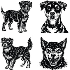Foreigner Dog Vector Silhouette Bundle Collection. Dog Vector