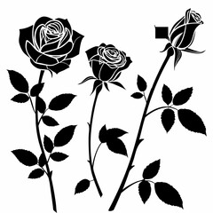 Three Black Silhouette Roses with Leaves