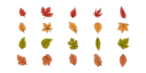 Obraz premium Autumn Leaves Illustration