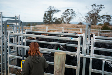 regenerative organic farmer, taking soil samples and looking at plant growth in a farm. practicing sustainable agriculture good looking farmer