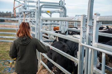 regenerative organic farmer, taking soil samples and looking at plant growth in a farm. practicing sustainable agriculture good looking farmer