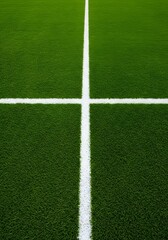 Obraz premium a well-maintained green grass field with a thick white line running horizontally across the center. wallpaper, Thick horizontal white painted line is running across green grass turf in flat vector