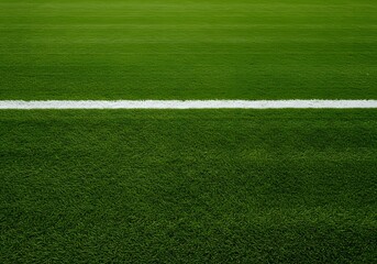 Obraz premium a well maintained green grass field with a thick white line running horizontally across the center. Thick horizontal white painted line is running across green grass turf in flat vector illustration