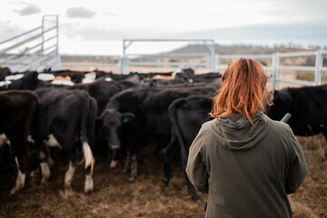 regenerative organic farmer, taking soil samples and looking at plant growth in a farm. practicing...