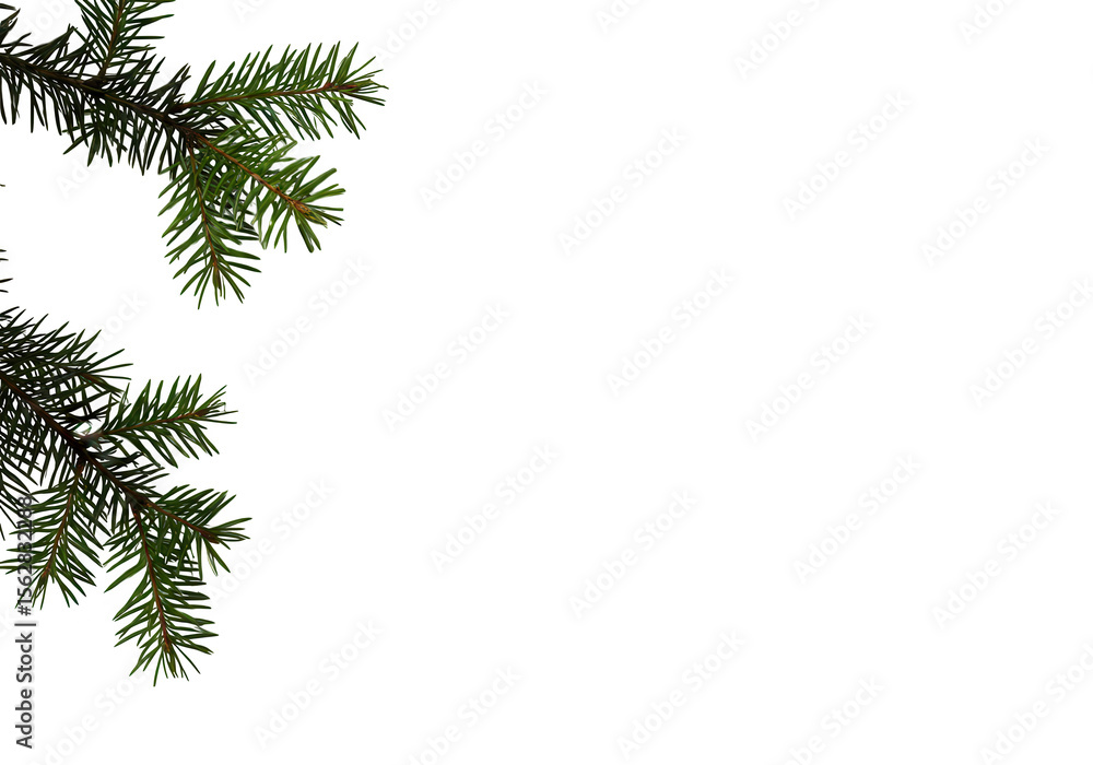 Poster a fir tree branch with green needles isolated on transparent background