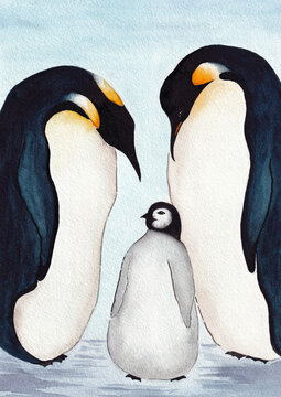 Illustration of two penguin parents with their child