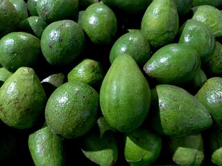 Fresh avocado sold in the market. Avocado contains many nutrients that are good for the body.