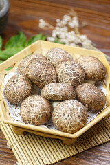 Simulation of multi-grain mushroom buns