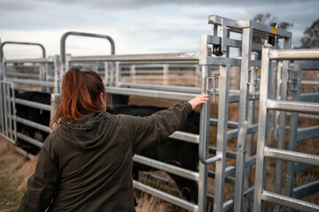 regenerative organic farmer, taking soil samples and looking at plant growth in a farm. practicing...