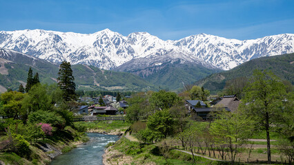 雪が残る北アルプス五竜岳と松川　長野県白馬村