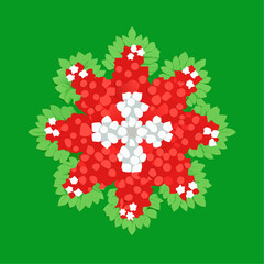 Swiss flag design crafted from colorful flower petals on a green grass background