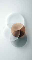 Translucent circles overlap, creating an abstract composition of varying shades of gray and brown against a bright white backdrop