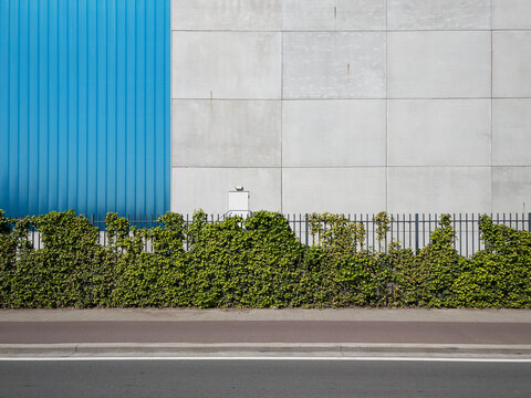 facade and hedge