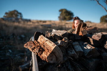 stacking firewood on the back of a ute sustainably sourced from the forest in australia