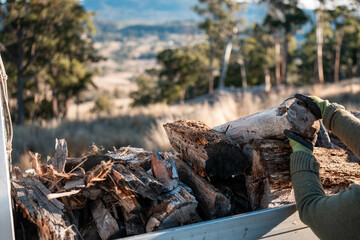 female famer Loading Firewood on a ute Preparing for Winter with Sustainable Home Heating. Hardworking Hands Gathering Wood for a Warm stacking wood pile