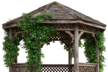 Rustic wooden gazebo covered in lush green vines isolated on transparent background