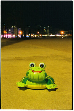 funny inflatable frog lying on the promenade, 35mm
