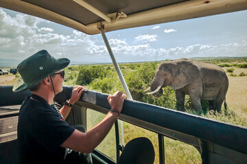 tourist in a car with an open roof, looking for elephant crossing during a typical day of safari © diy13