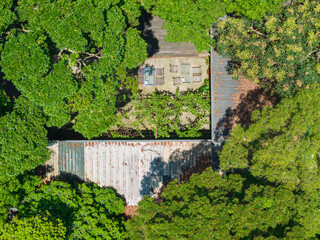 Aerial View of Garden Patio Surrounded by Green Trees