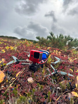 FPV drone in autumn tundra under cloudy sky