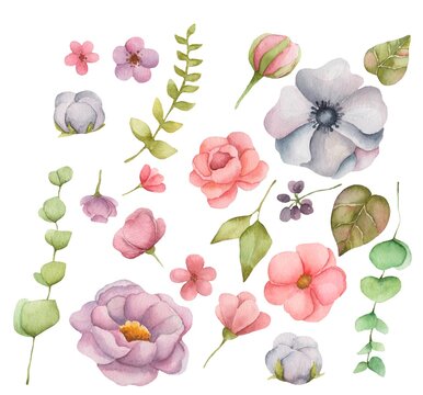Illustration of colorful flowers and herbs