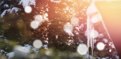 Fototapete Icicle on roof during winter with bokeh in foreground © vectorfusionart