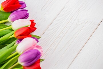 Colorful tulip blossoms with green stems are lining diagonal white wood planks in flat design