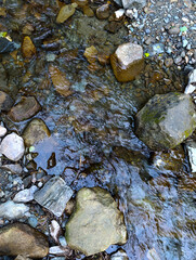A stream of water with rocks and pebbles in it