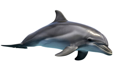 Majestic Dolphin in the Ocean: Stunning Wildlife Photography