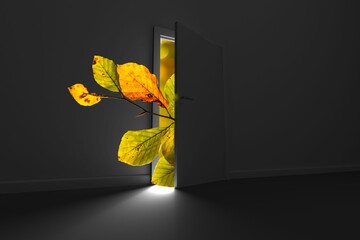 Plant coming in from open door