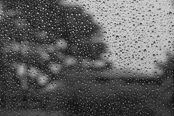 屋内から雨の降る外を眺めているイメージ