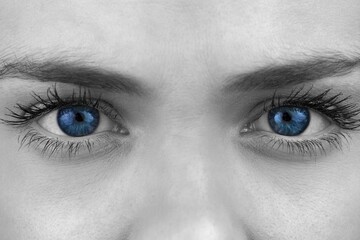 Woman's bright blue eyes are standing out in grayscale close-up portrait, with arched brows