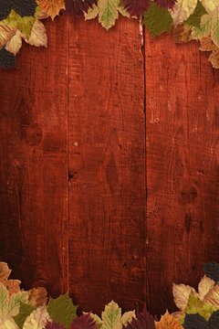 Fototapeta Flat design illustration showing rustic wooden plank surface featuring dried autumn leaf border