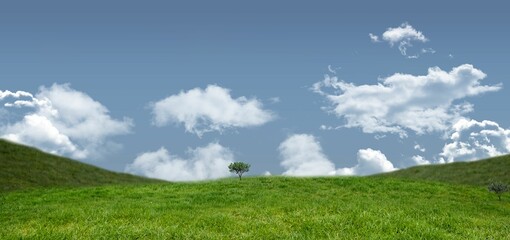 Green field under blue sky