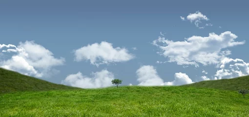 Vitrage gordijnen Green field under blue sky © vectorfusionart